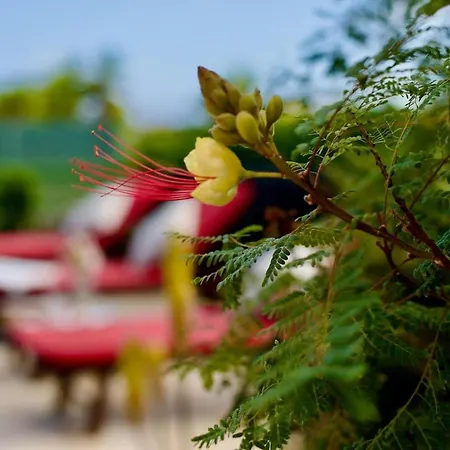 Villa Casa Zeus - No Stress Holidays *