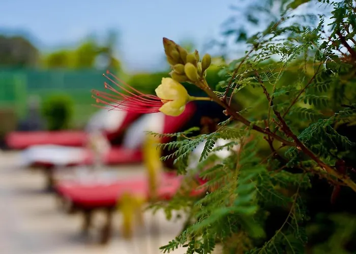 Vila Casa Zeus - No Stress Holidays *